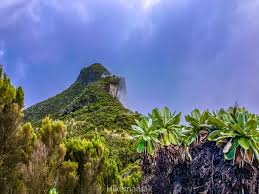 12 Apostles Hike